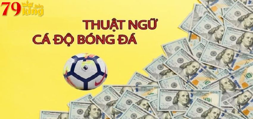 Thuật ngữ kèo rung cực chi tiết không nên bỏ lỡ 